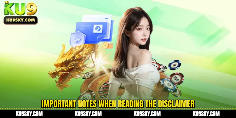 Important notes when reading the Disclaimer