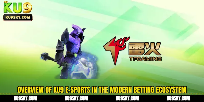 Overview of KU9 e-sports in the modern betting ecosystem