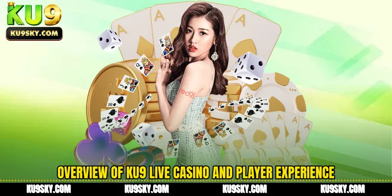 Overview of KU9 live casino and player experience