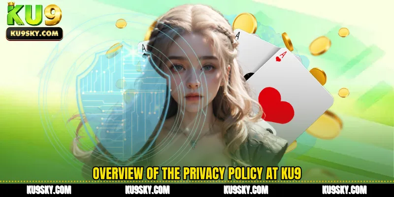 Overview of the privacy policy at KU9