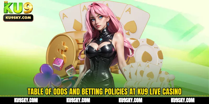 Table of odds and betting policies at KU9 live casino